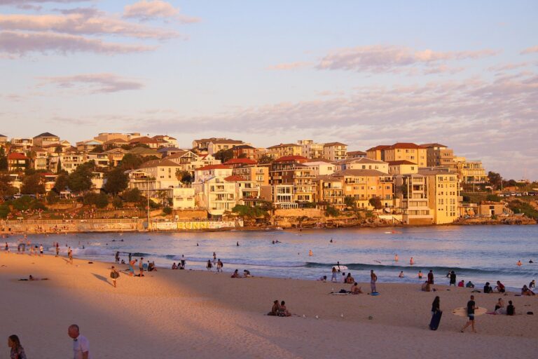 Two Sydney Beaches Closed After Dead Whale Appears